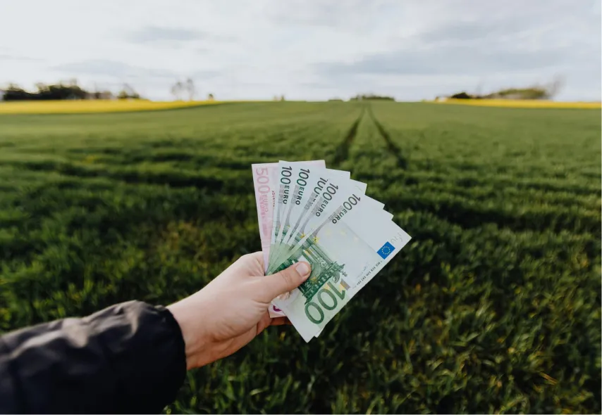 Dampak Potensial Greenflation Terhadap Kestabilan Harga dan Kebutuhan Primer dalam Aspek Ekonomi Berkelanjutan