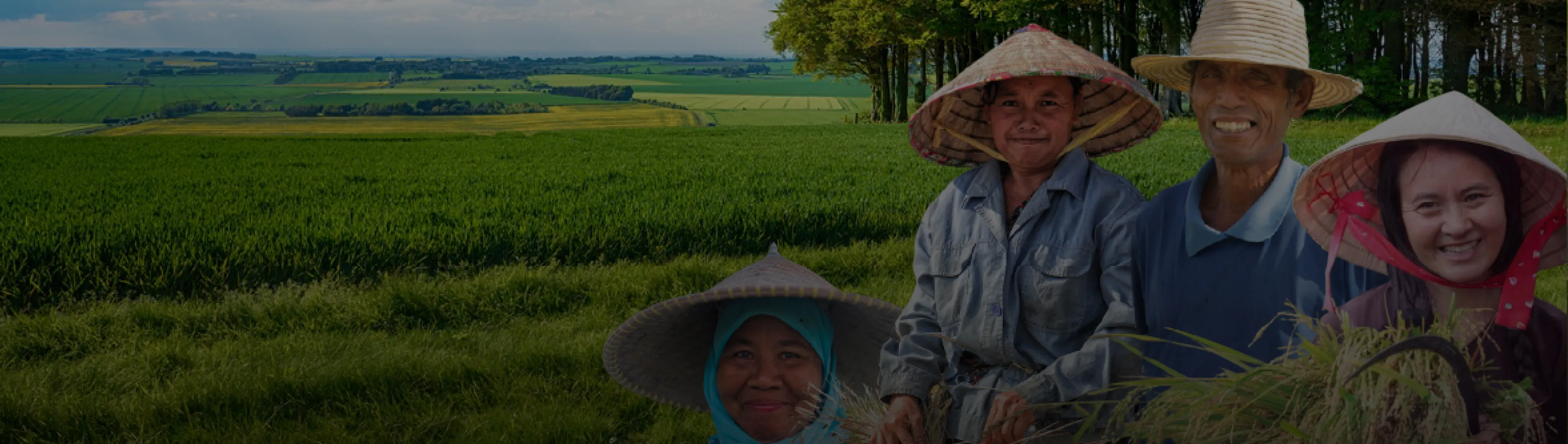 Dokumen Sosial
